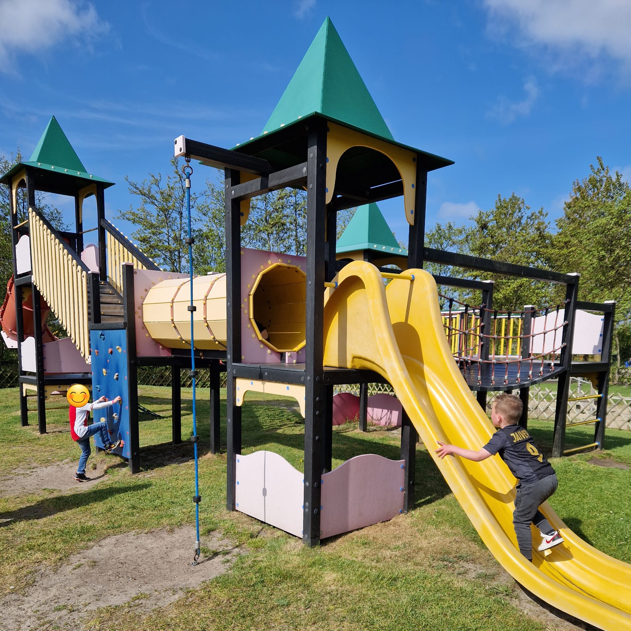 De afgelopen twee weken zijn de kinderen op schoolreisje geweest naar de Goudvis, Linnaueshof, Artis en Drievliet. 🚌☀️