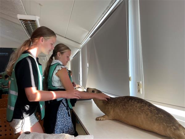 Kamp groep 8 🚲🦭☀️