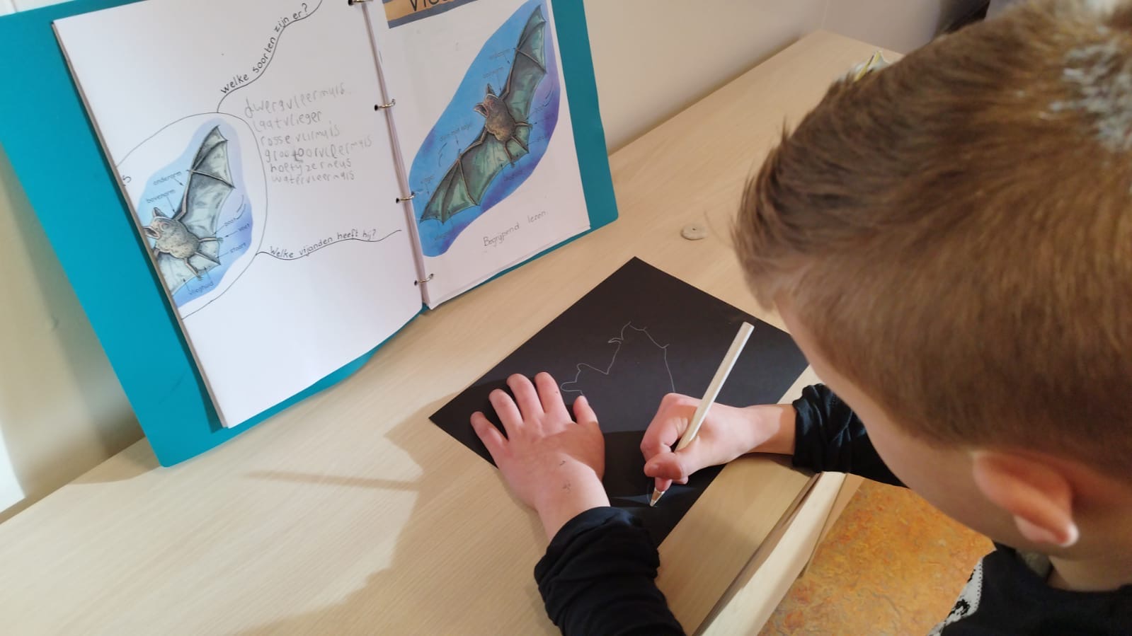 Thema dag en nacht 🦇