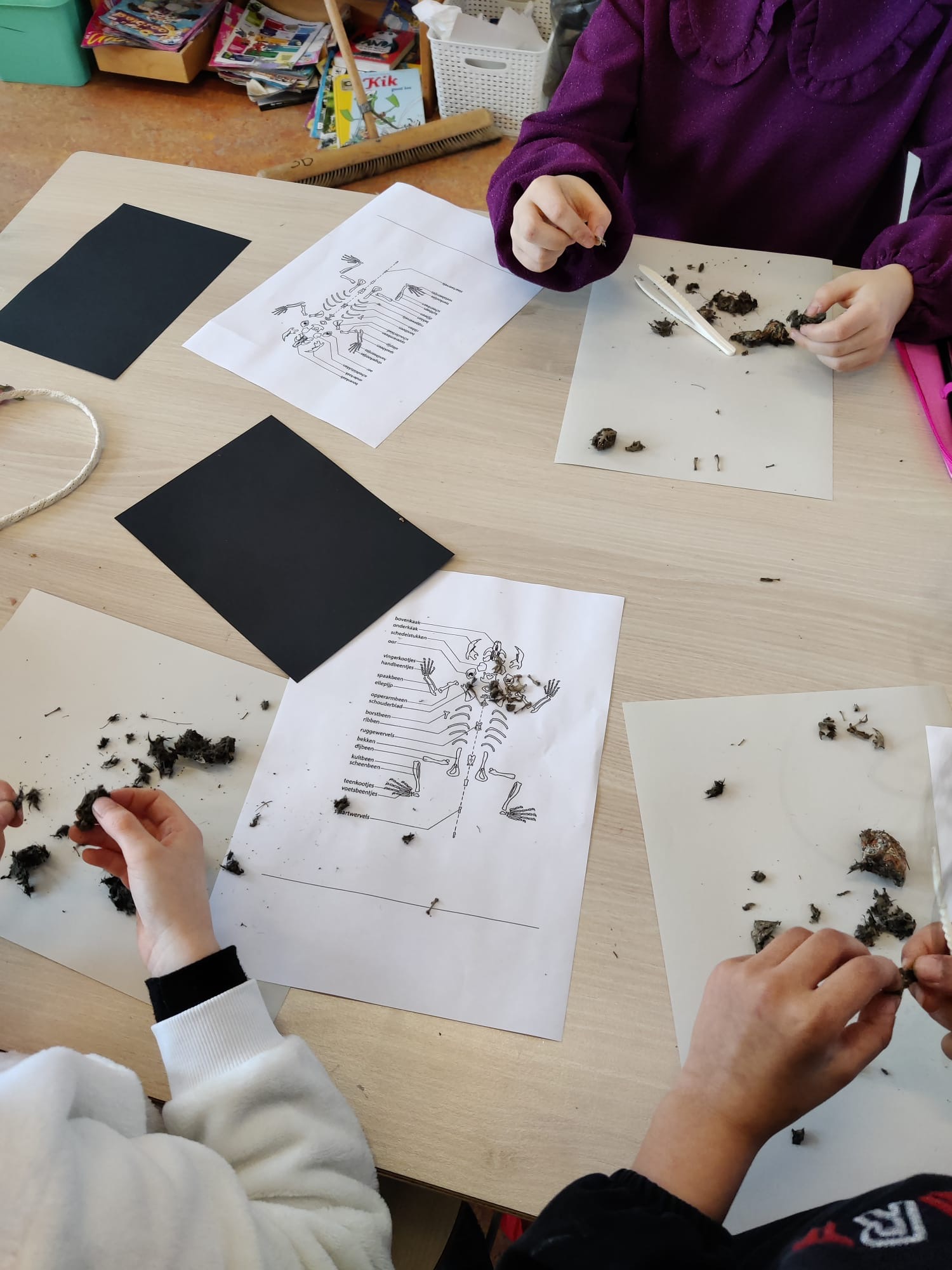 In groep 4 hebben we gewerkt aan het thema 'licht en donker'. 🦉🦇