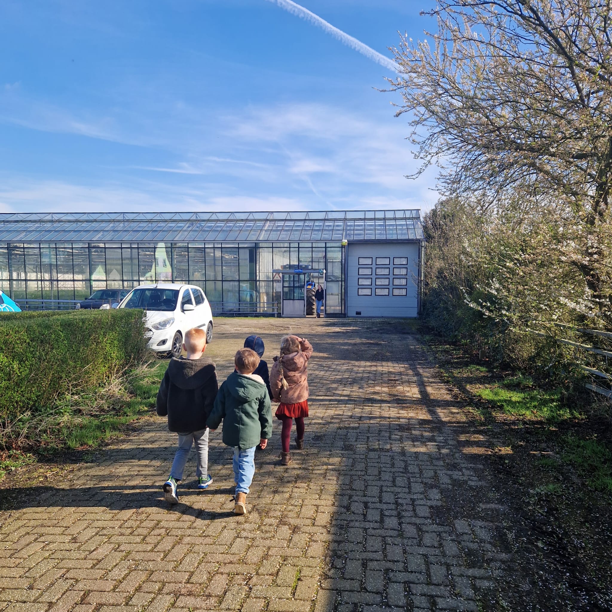 Bezoek aan de leliekwekerij 🌷🌹🌼🪻🌻