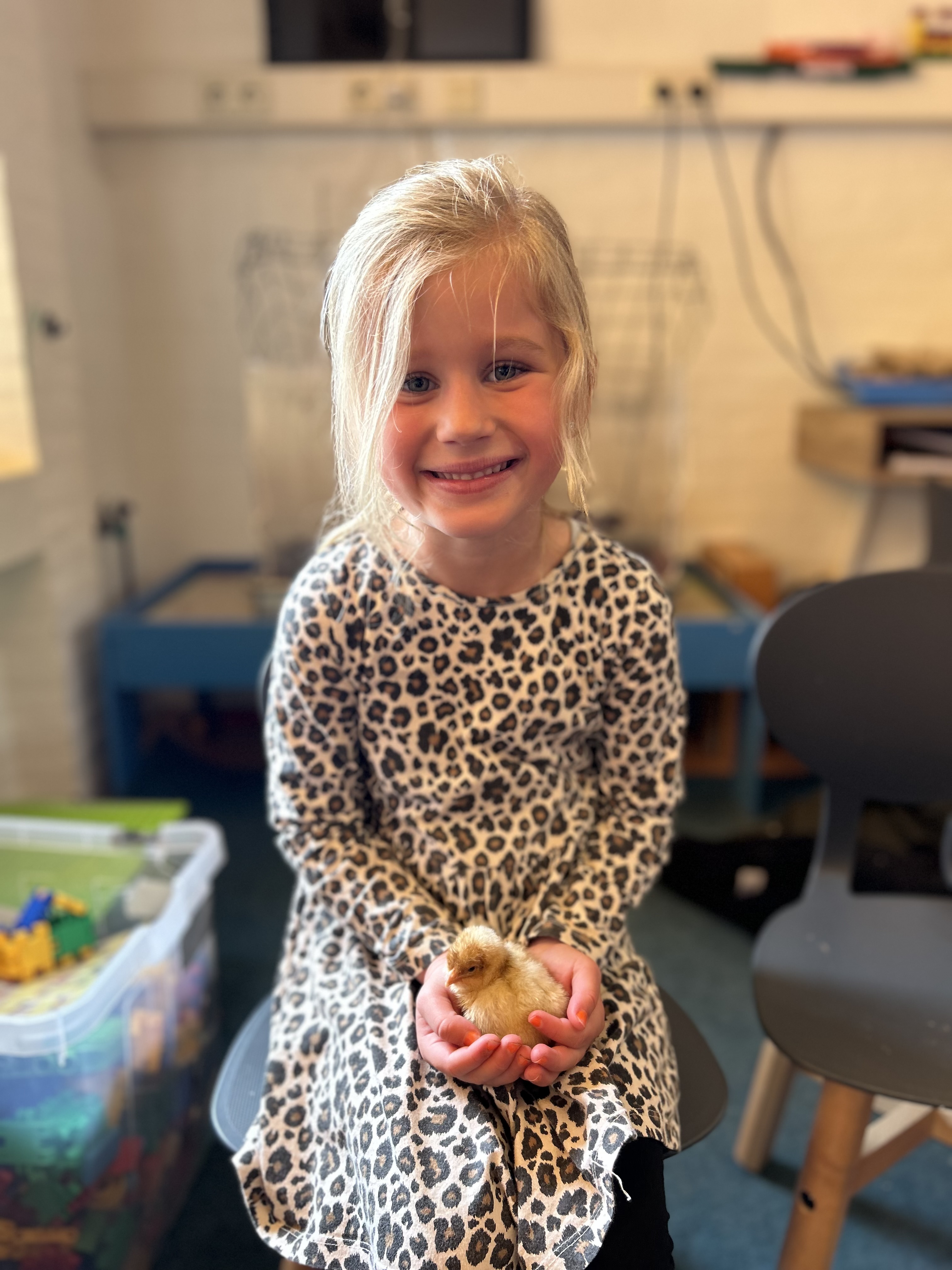 Hoera! Kuikens geboren! 🐣 