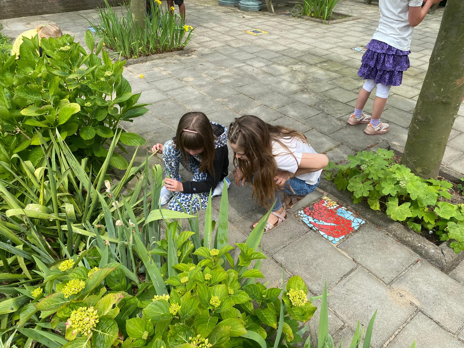 Thema kriebelbeestje in groep 4🐞🐛🐜🕷️