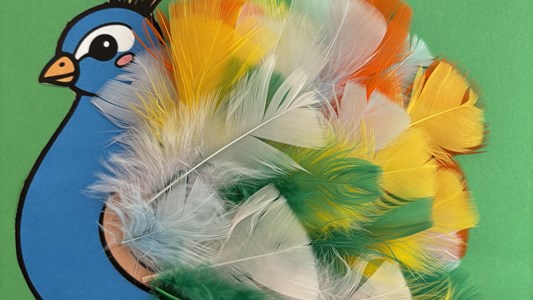 We zijn zo trots als n pauw! ๐ฆ๐คฉ