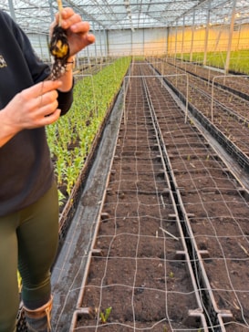 4a8d66ab-34d0-40ee-a7b1-c4f8a4932243