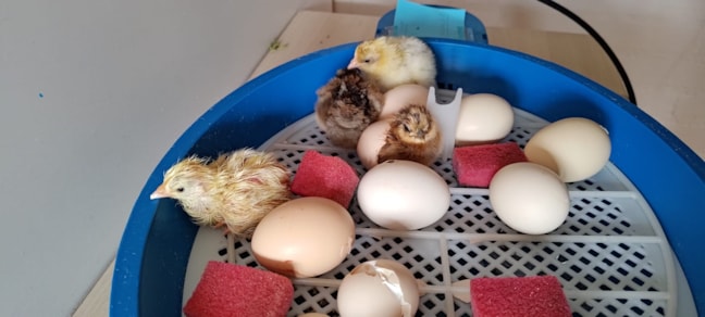 9a1bc297-ca99-4d30-b052-9ed4fedd9496