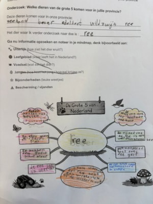 834eef31-2406-4485-bb18-96eff541ef11